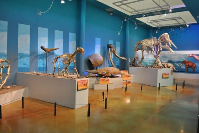 WhatsApp Image 2025-03-23 at 11.21.33 AM