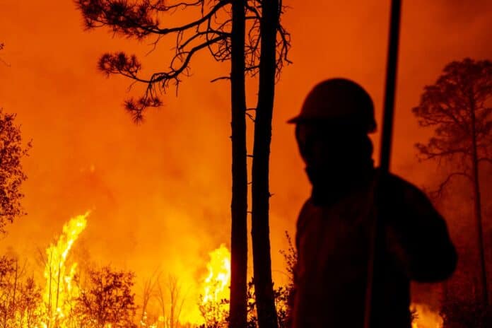 WhatsApp Image 2025-04-03 at 2.42.07 PM