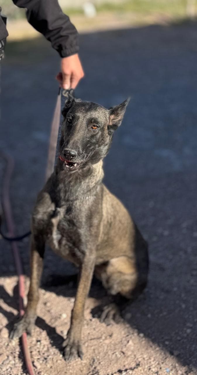 WhatsApp Image 2025-04-07 at 12.51.45 PM