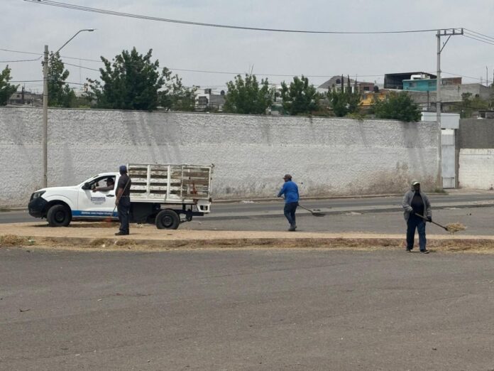 WhatsApp Image 2025-04-17 at 9.11.26 PM