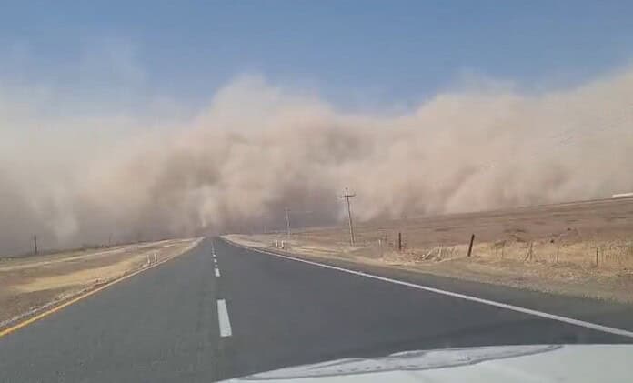 WhatsApp Image 2025-05-12 at 11.19.31 AM