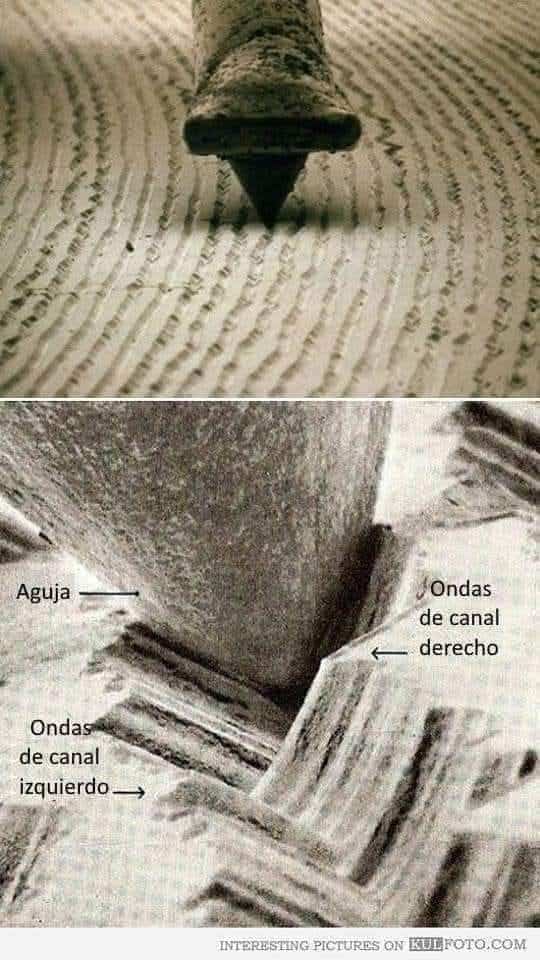 501413222_10229151705072836_3902529122769144758_n