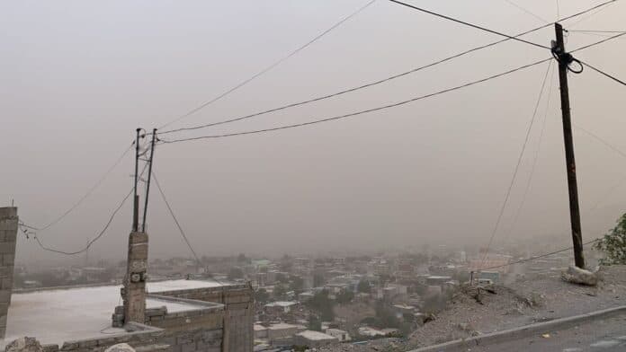 WhatsApp Image 2025-06-15 at 8.29.01 PM