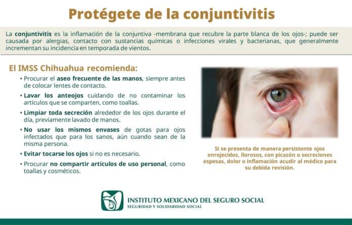 WhatsApp Image 2025-06-24 at 12.35.28 PM