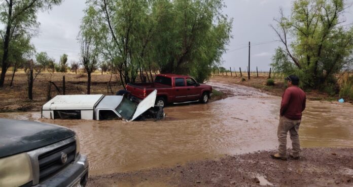 WhatsApp Image 2025-06-24 at 8.52.41 AM