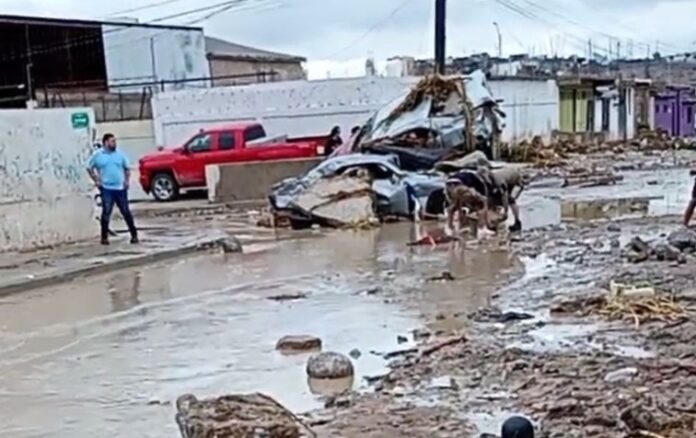 WhatsApp Image 2025-06-25 at 10.55.14 AM