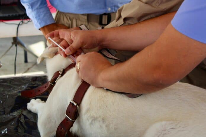 WhatsApp Image 2025-06-30 at 9.50.10 AM