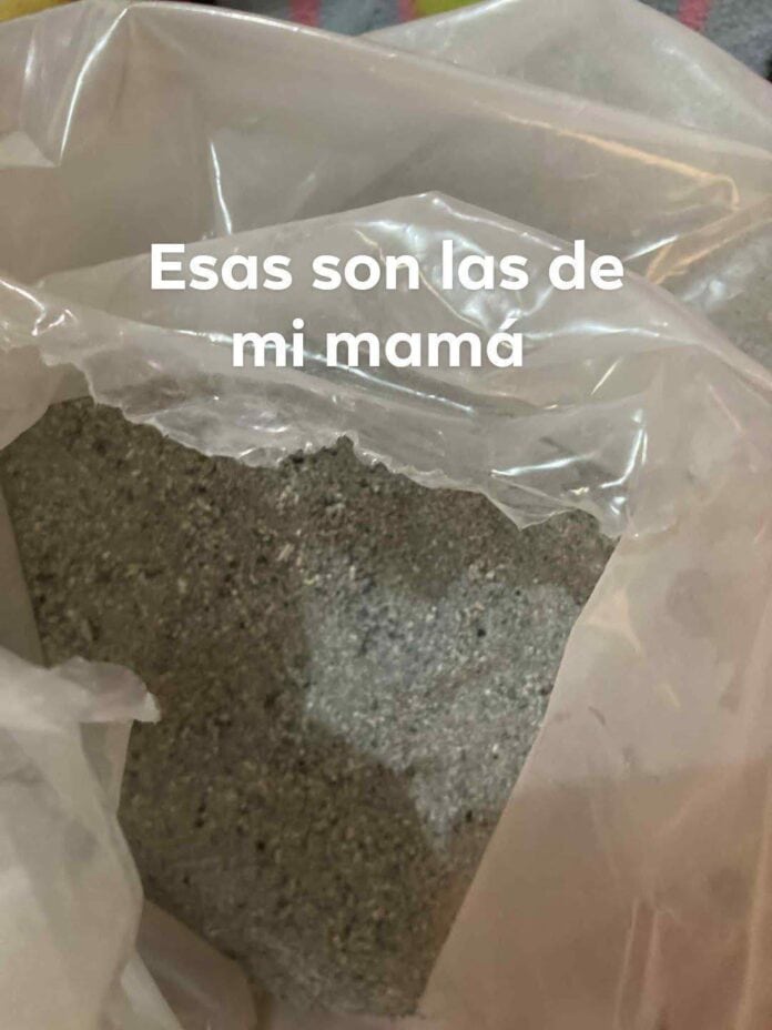 514355881_1235315908058938_807100239023033130_n