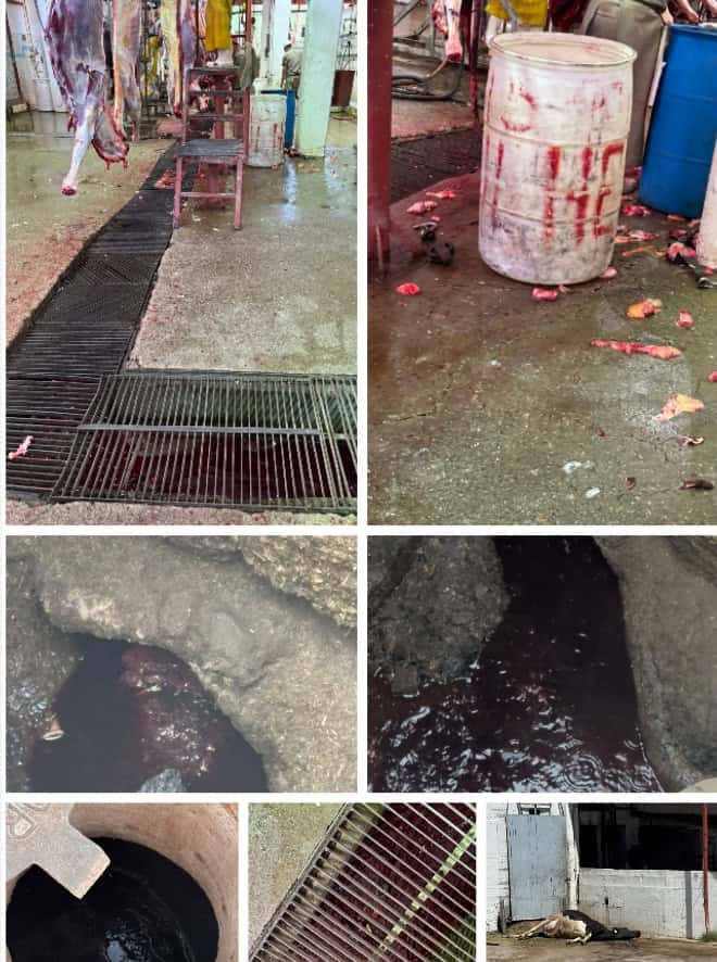 Screenshot_2025-07-16-14-09-20-927_photoeditor.layout.collagemaker-edit