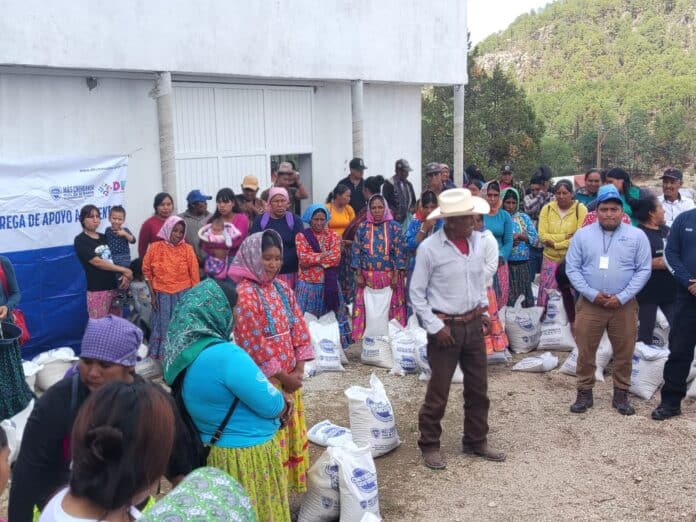 WhatsApp Image 2025-07-01 at 12.26.13 PM