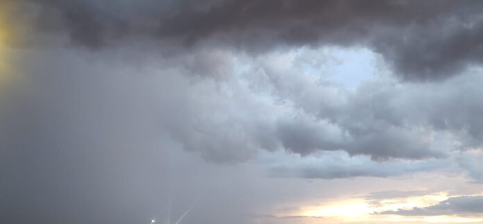 WhatsApp Image 2025-07-16 at 10.11.08 AM