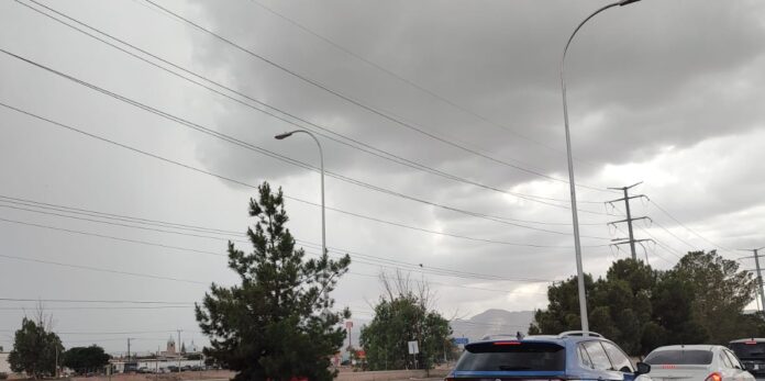 WhatsApp Image 2025-07-17 at 11.01.12 AM