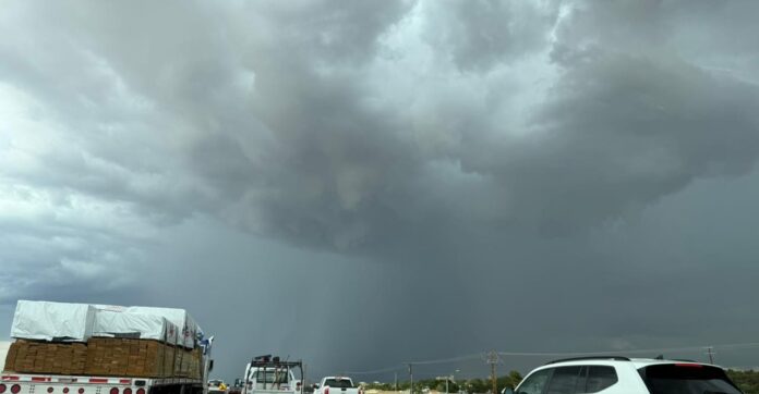 WhatsApp Image 2025-07-23 at 10.36.30 AM