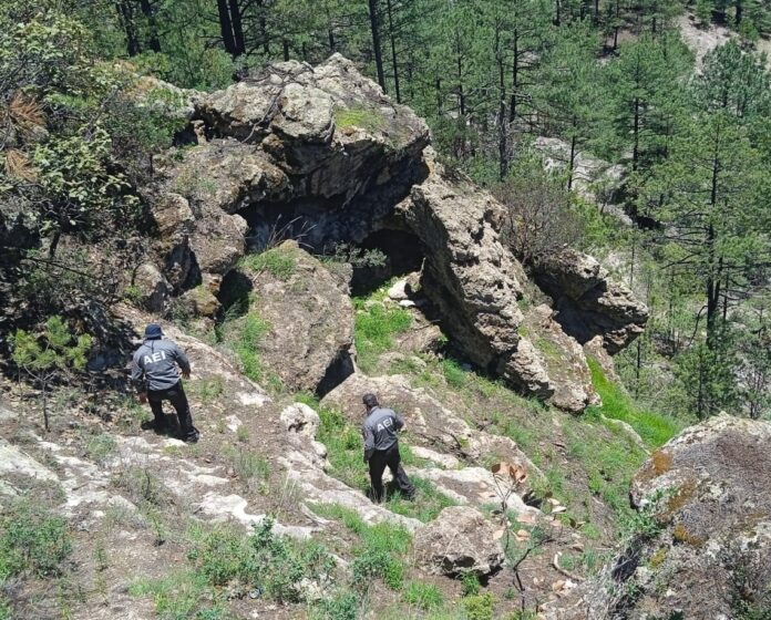 WhatsApp Image 2025-07-24 at 10.05.25 AM