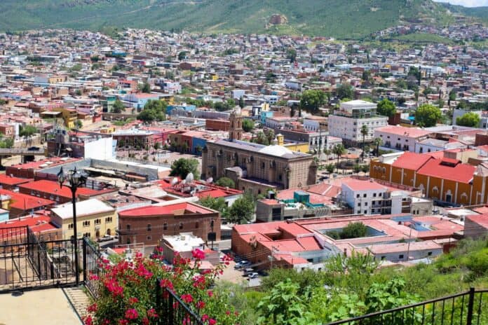 WhatsApp Image 2025-08-19 at 12.36.56 PM