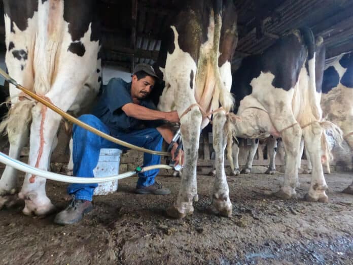 WhatsApp Image 2025-07-18 at 9.28.24 AM