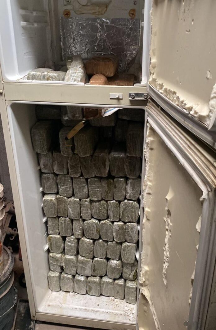 WhatsApp Image 2025-09-10 at 1.50.02 PM