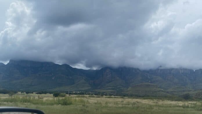 WhatsApp Image 2025-09-12 at 11.44.36 AM