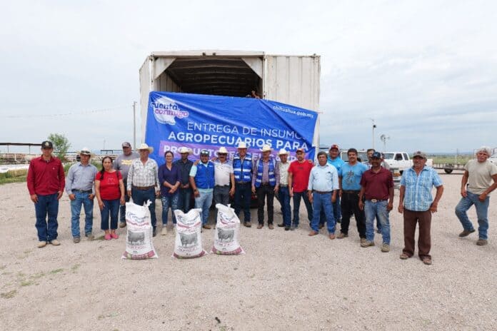 WhatsApp Image 2025-09-27 at 1.01.09 PM