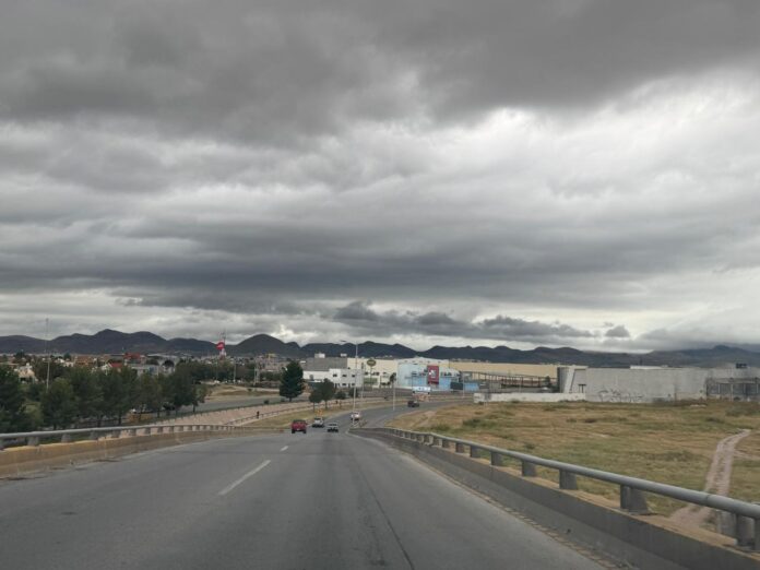 WhatsApp Image 2025-10-12 at 9.54.35 PM