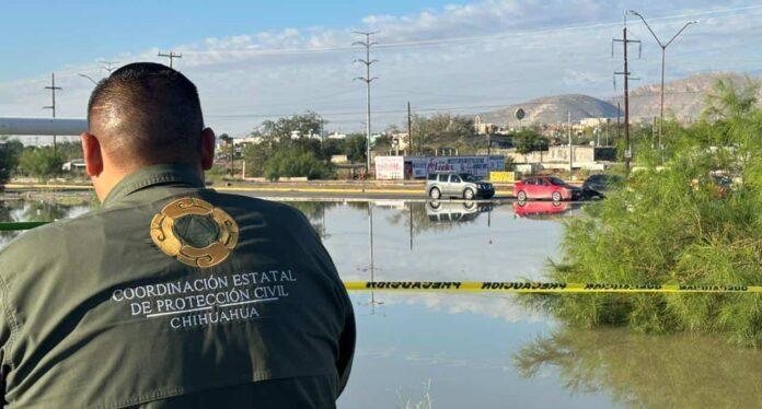 WhatsApp Image 2025-10-14 at 11.02.24 AM