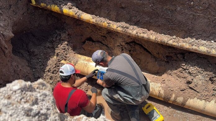 WhatsApp Image 2025-10-24 at 11.26.44 AM