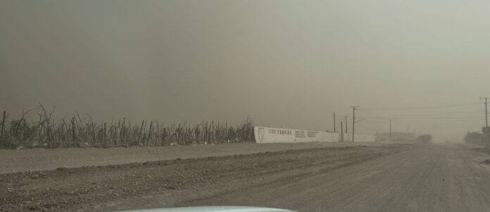 WhatsApp Image 2025-11-09 at 11.05.11 AM