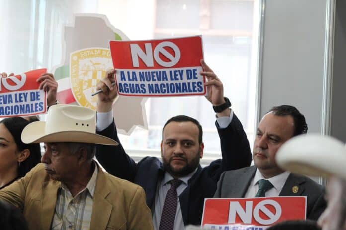 WhatsApp Image 2025-11-18 at 2.25.13 PM