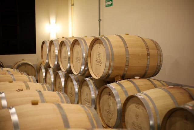 WhatsApp Image 2025-11-22 at 11.26.51 AM(1)