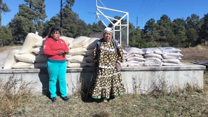 WhatsApp Image 2025-11-24 at 10.43.53 AM