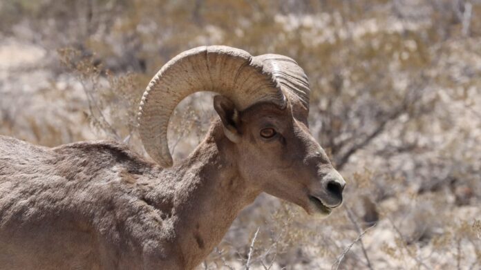 WhatsApp Image 2025-12-05 at 12.08.09 PM