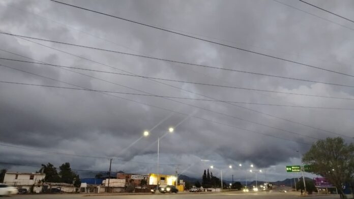 WhatsApp Image 2026-01-11 at 11.33.08 AM