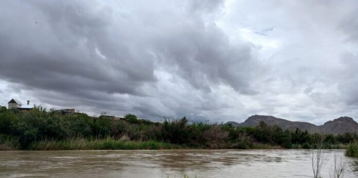 WhatsApp Image 2026-01-20 at 11.07.47 AM