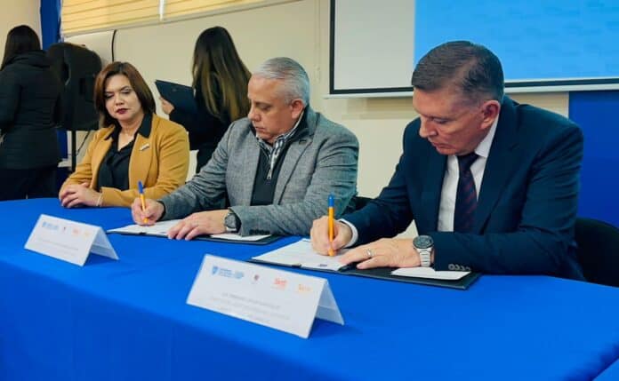 WhatsApp Image 2026-02-04 at 4.15.50 PM