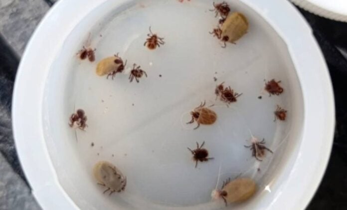 WhatsApp Image 2026-02-28 at 10.54.42 AM